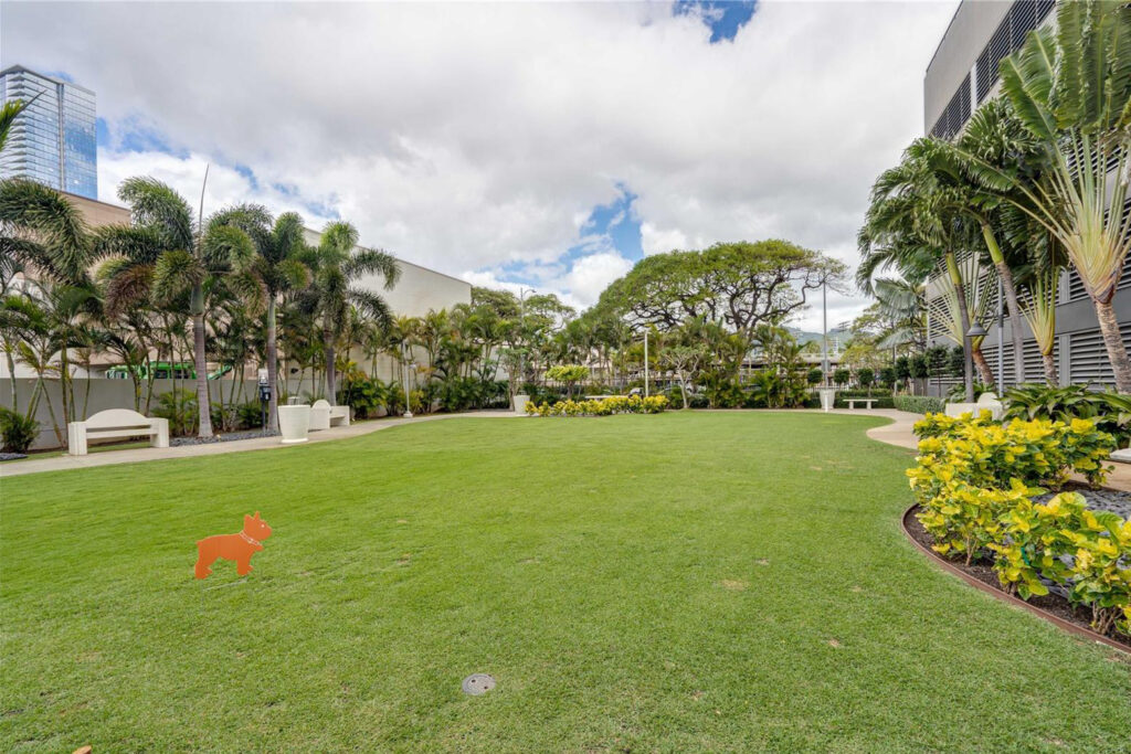 Pacifica_Honolulu_-_Pet_Park